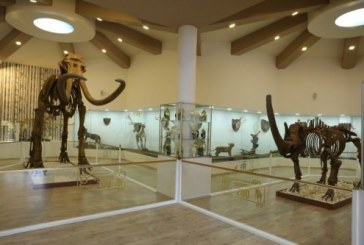 تركيا تفتتح أول متحف لعلم الحيوان والطبيعة في غازي عنتاب الاحد القادم