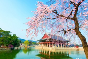 سياحة كوريا الجنوبية تسجل أعلى معدل تراجع منذ 10 سنوات