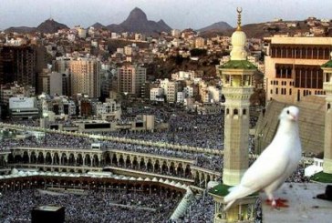1071 مرفقا سياحيا في مكة.. والفنادق تستحوذ على 92 % من إسكان المعتمرين