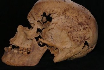 اكتشاف عظام أقدم إنسان عاقل تعود إلى نحو 300 سنة قبل الميلاد بالمغرب