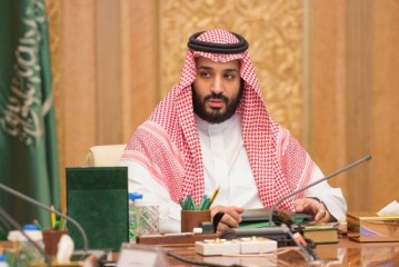 احلام ولى العهد للسياحة فى المملكة بين الواقع والمأمول وطيور الظلام ..!بقلم : اشرف الجداوى
