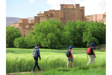 خبراء:السياحة المستدامة تحفز النمو الاقتصادي