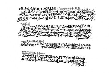 متحف الآثار بمكتبة الإسكندرية ينظم دورة متقدمة في اللغة المصرية القديمة