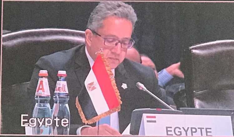 العنانى يتسعرض الخلفية التاريخية للشخصية المصرية أمام أعضاء المنظمة الدولية للفرانكفونية