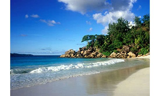 Seychellois moving to save Seychelles