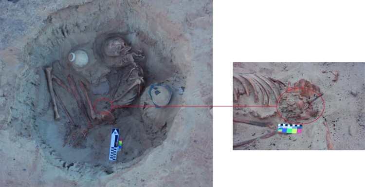 الكشف عن دفنة أثرية لامرأة حامل في شهورها الأخيرة بأسوان