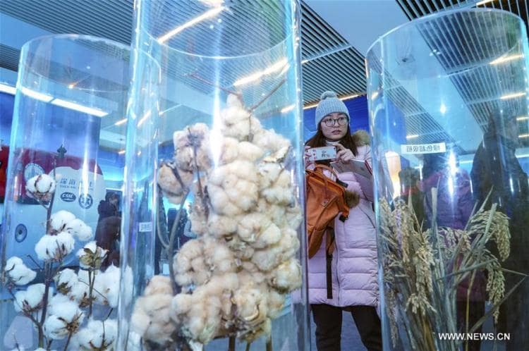 معرض الاصلاح والانفتاح في الصين يسجل 270 مليون زيارة ميدانية والكترونية