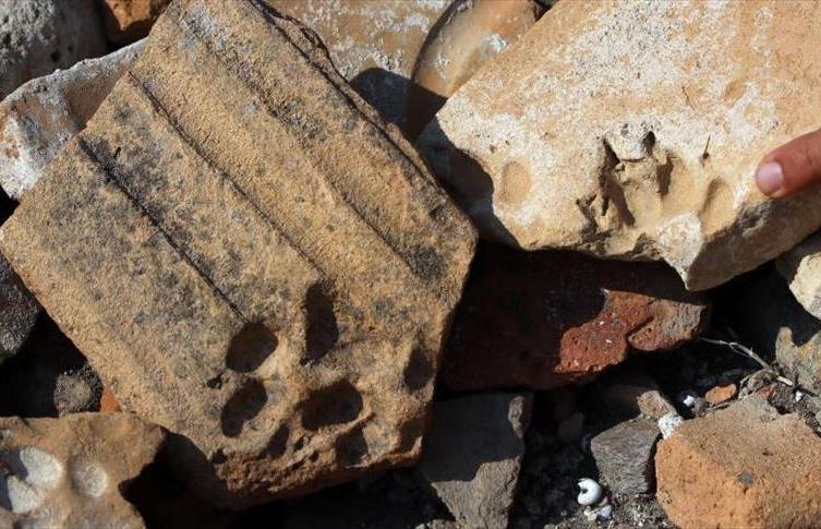 العثور على آثار حيوانات تعود للقرن الثامن الميلادي بتركيا