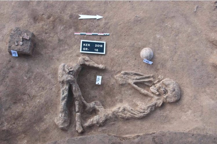 اكتشاف مقابر و20 دفنه بموقع كوم الخلجان ترجع لفترة الهكسوس وما قبل الاسرات