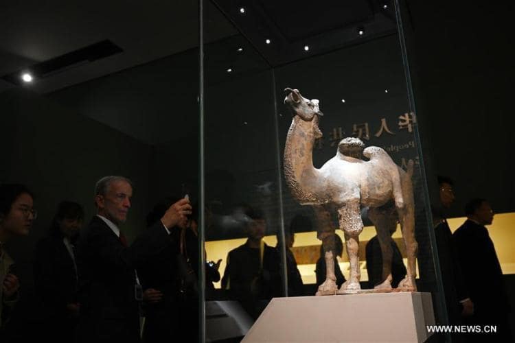 المتحف الوطنى الصينى ينظم معرضا عن الحضارات على طريق الحرير بمشاركة 12 دولة