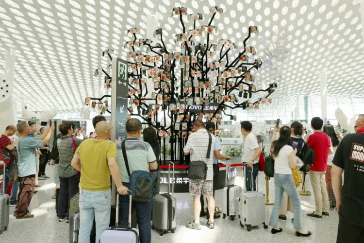 مطار بشنتشن يضم شجرة أوراقها 500 شاشة مرنة  