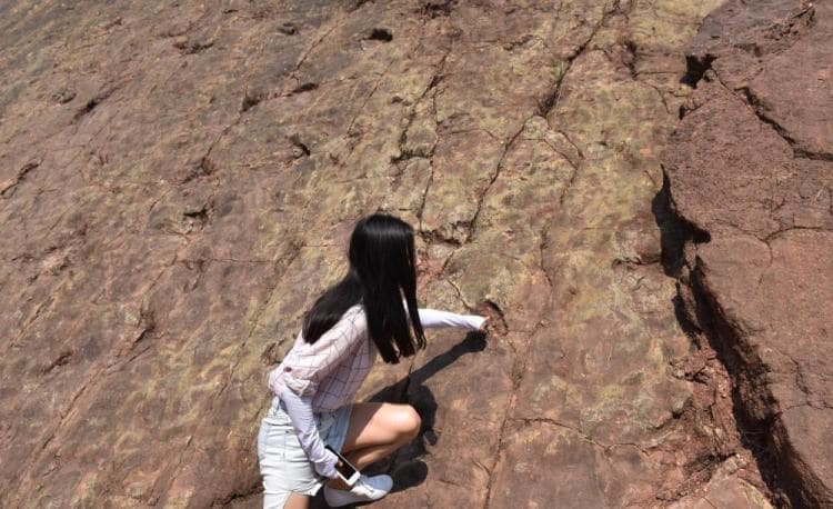 اكتشاف آثار أقدام ديناصورات تعود لـ 100 مليون عام في الصين