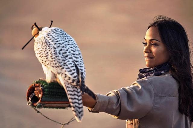 سياحة دبي تطلق الفيلم الترويجي A STORY TAKES FLIGHT