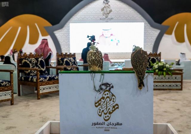 تهيئة مهرجان الصقور في الحدود الشمالية كمنتج سياحي يجذب الحركة الخليجية والدولية