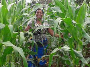 تقوم الوكالة الأميركية للتنمية الدولية ووزارة الزراعة الهندية بمساعدة المزارعين أمثال السيدة مثيرة في مقاطعة ميغوري، بكينيا، على تقوية المحاصيل ضد الجفاف وتحسين المحاصيل. (USAID)