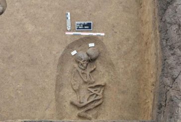 الكشف عن 110 مقبرة فرعونية من 3 عصور مختلفة بكوم الخلجان الأثرية بمحافظة الدقهلية .. البوم صور