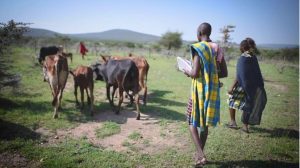 Nigeria’s risk communications highlighted in new report showing how countries successfully beat infectious disease outbreaks before they became epidemics