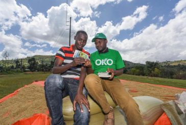 Insurtech start-up OKO raises $1.2 million to bring innovative insurance to smallholder farmers across Africa