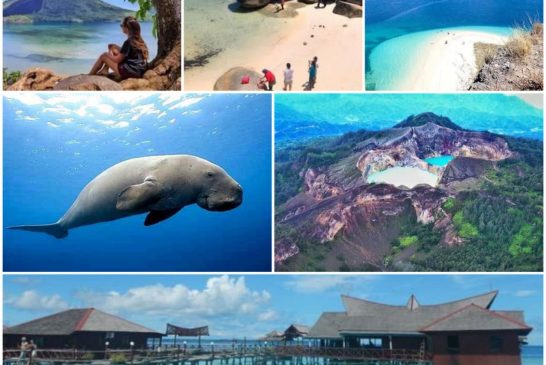سياحة إندونيسيا تعلن فتح جزيرة بالي تدريجيًا للسياح اعتبارًا من 14 أكتوبر