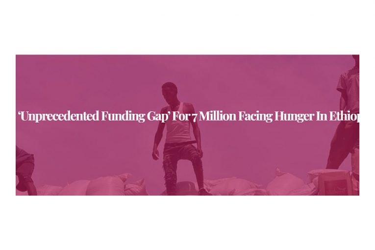 ‘Unprecedented funding gap’ for 7 million facing hunger in Ethiopia: WFP