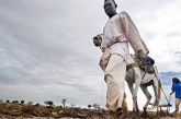 New FAO report highlights urgent need to restore Africa’s degraded landscape