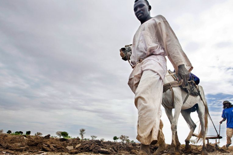 New FAO report highlights urgent need to restore Africa’s degraded landscape