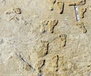 العثور على أقدم آثار أقدام بشرية أحفورية في أميركا الشمالية في نيو مكسيكو