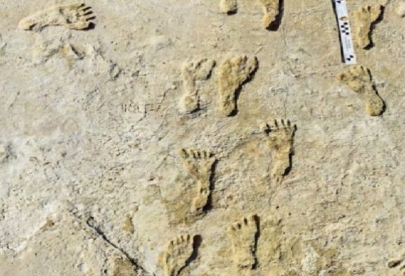 ربما يكون أكبر اكتشاف : العثور على أقدم آثار أقدام بشرية أحفورية في أميركا الشمالية في نيو مكسيكو