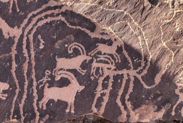 دراسة بالآثاريين العرب تكشف عن نقوش صخرية جديدة بوادي الزرانيق وجبل الجنة بسيناء
