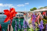 Mindful Travel in The Heart of Geneva’s Most Authentic Experiences With the ‘Swisstainable’ Programme