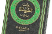 ما يزال ربّان البحور يشق عباب الفاجعة ... بقلم د. نضير الخزرجي