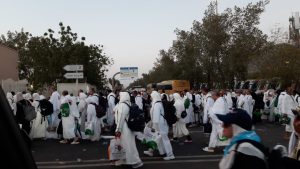 نفرة حجاج السياحة إلى مزدلفة تسير بسلاسة وسط التزام الشركات ومتابعة دقيقة.. البوم صور