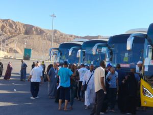 انطلاق أولى رحلات عودة حجاج الحج السياحي البري إلى أرض الوطن ومتابعة دقيقة من الوزارة