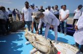 مصر تستعيد كنوزها الغارقة: انتشال تماثيل أثرية نادرة من أعماق المتوسط بعد 25 عامًا